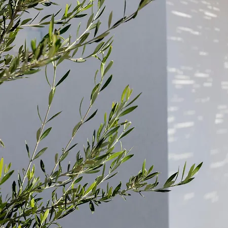 Phos Milos 4* بولونيا