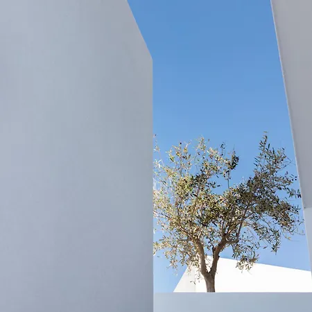 Phos Milos بولونيا