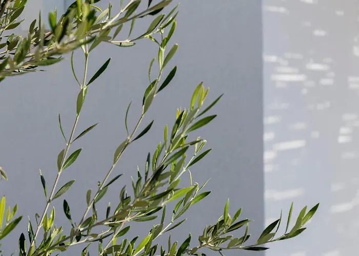 Phos Milos 4* Pollonia